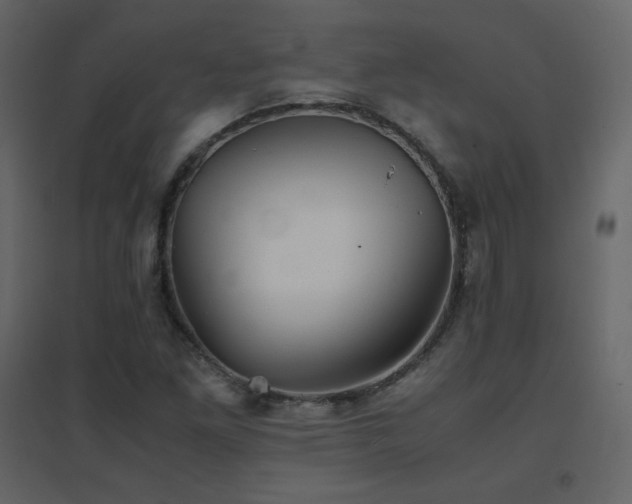 X0000096701261200802051402