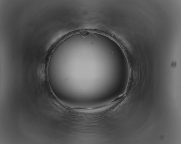 X0000096701262200802051402