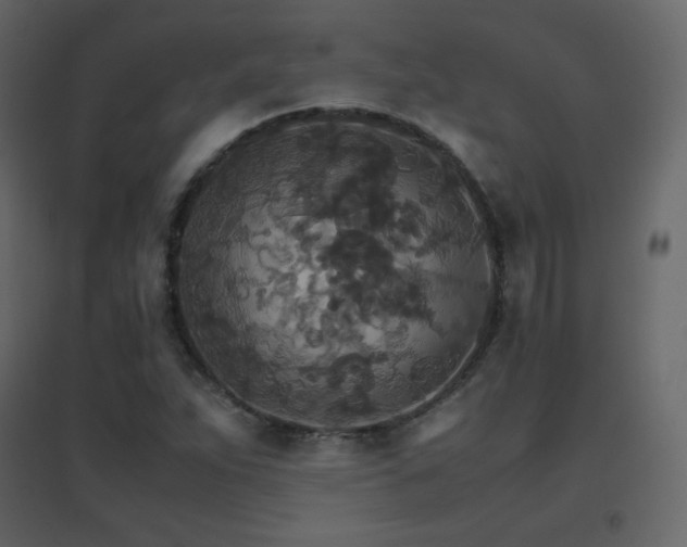 X0000096701263200802051402