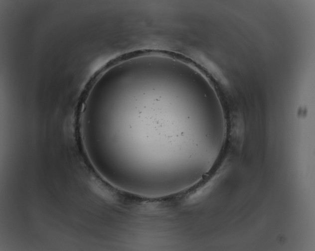 X0000096701264200802051402