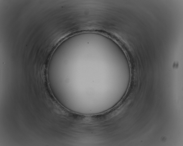 X0000096701265200802051402