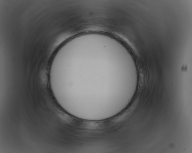 X0000096701266200802051402