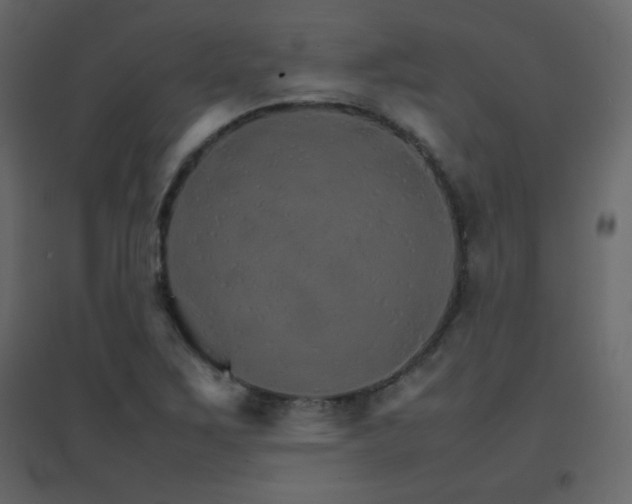 X0000096701267200802051402