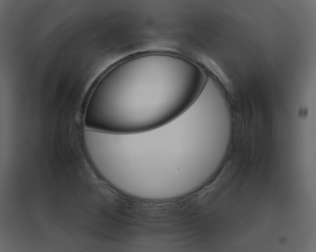 X0000096701268200802051402