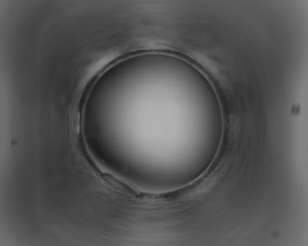 X0000096701269200802051402