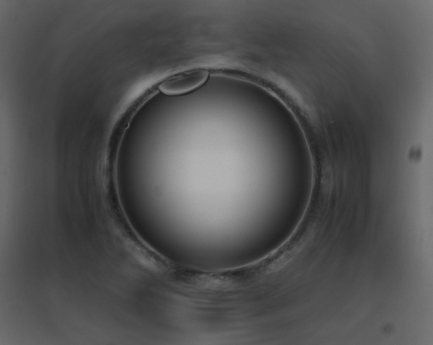X0000096701270200802051402