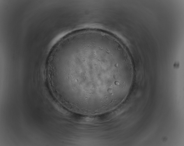 X0000096701271200802051402