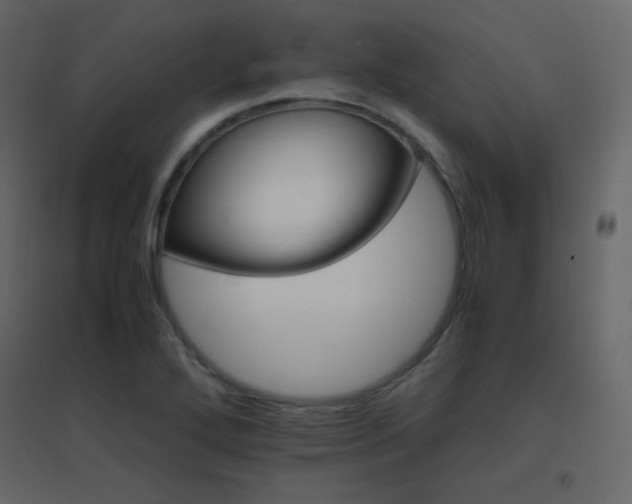 X0000096701272200802051402