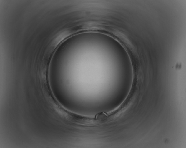 X0000096701273200802051402