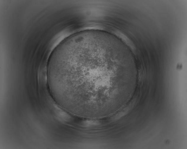 X0000096701274200802051402