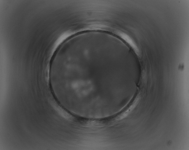 X0000096701275200802051402