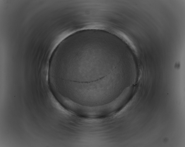 X0000096701276200802051402