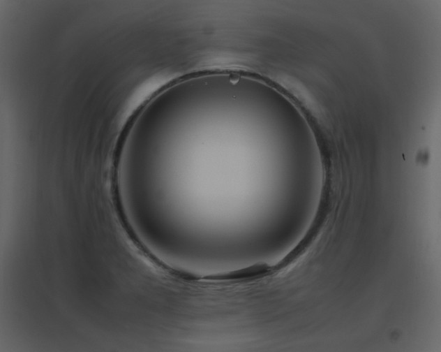 X0000096701277200802051402