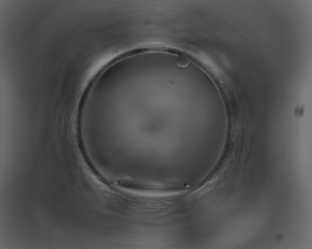 X0000096701279200802051402