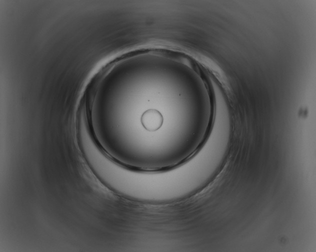 X0000096701280200802051402