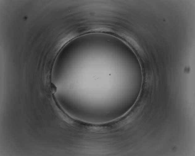 X0000096701281200802051402