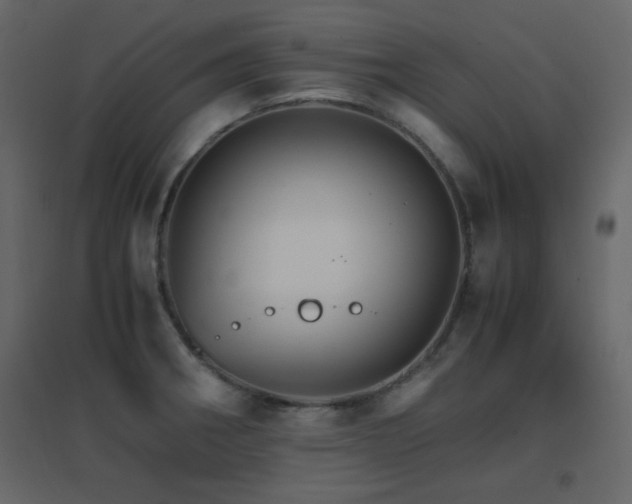 X0000096701282200802051402