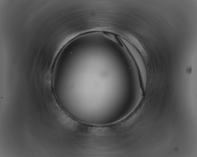 X0000096701284200802051402