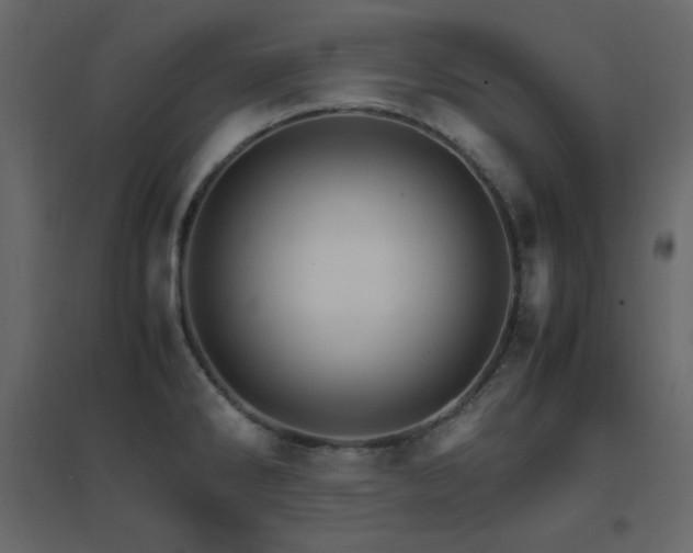 X0000096701286200802051402