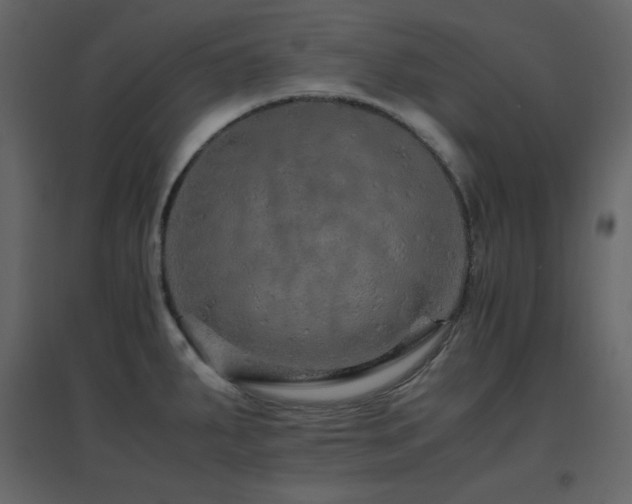 X0000096701287200802051402