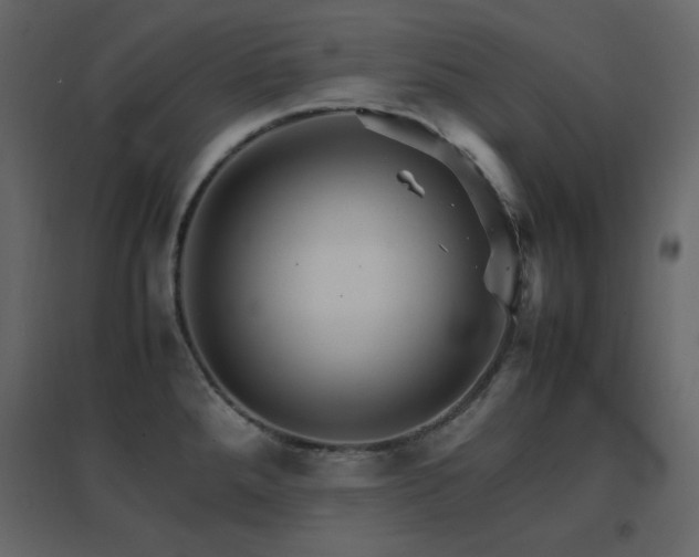X0000096701288200802051402