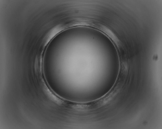 X0000096701290200802051402