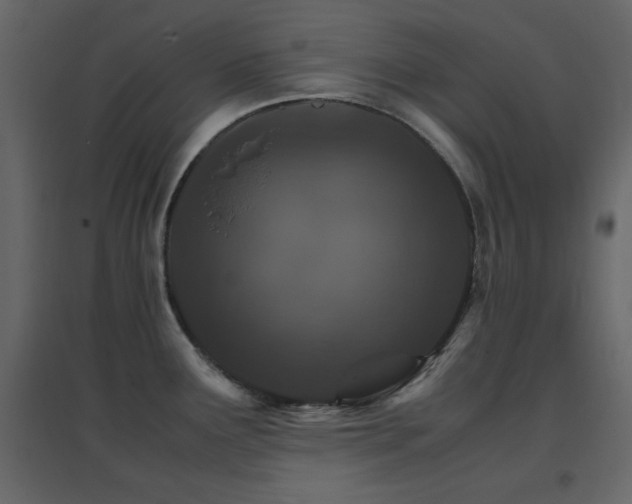 X0000096701291200802051402