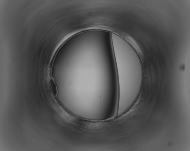 X0000096701292200802051402