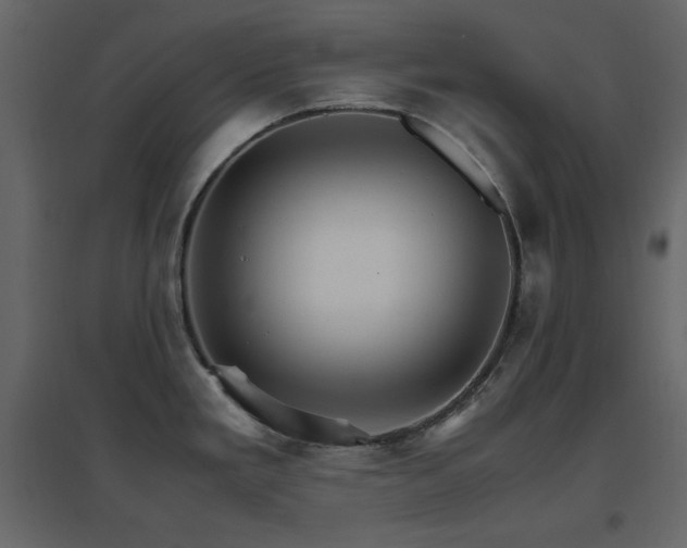 X0000096701293200802051402
