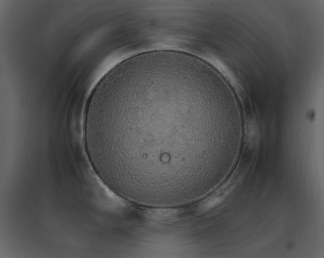 X0000096701294200802051402