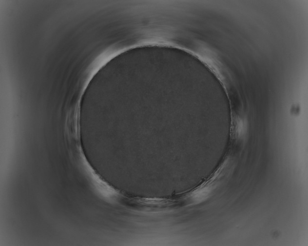 X0000096701295200802051402