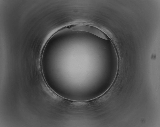 X0000096701296200802051402