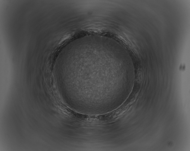 X0000096701297200802051401