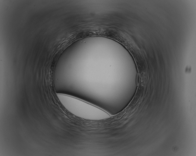 X0000096701298200802051401