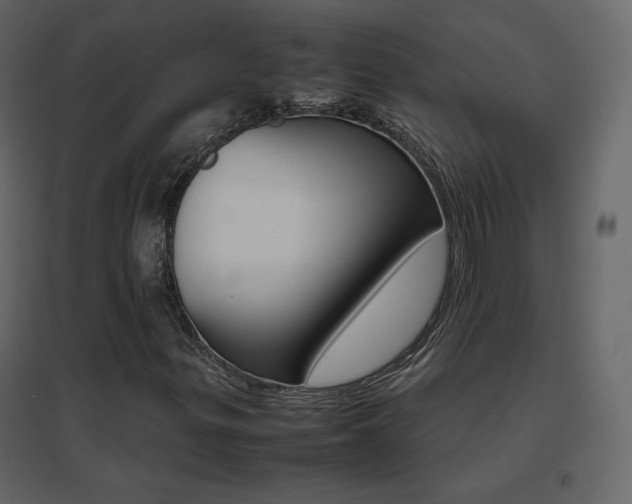 X0000096701299200802051401