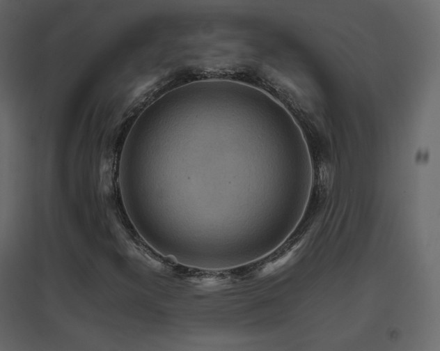 X0000096701300200802051401