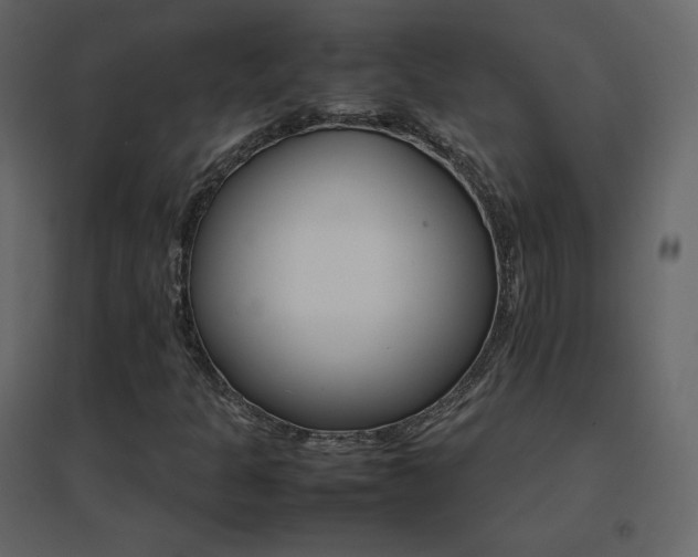 X0000096701301200802051401
