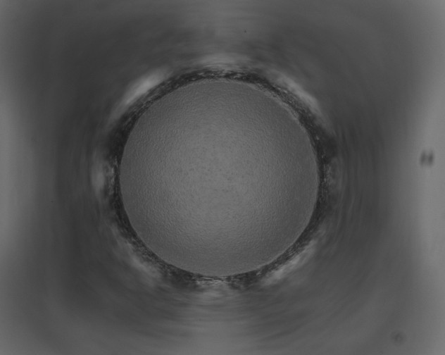 X0000096701302200802051401