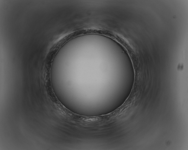 X0000096701303200802051401