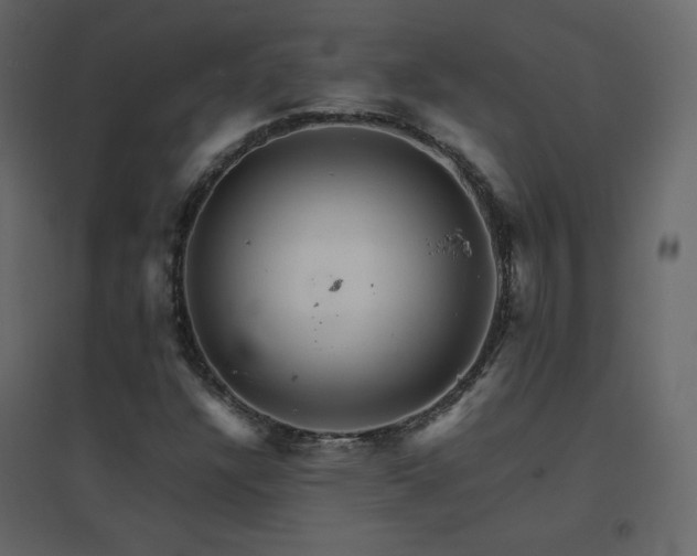 X0000096701304200802051401