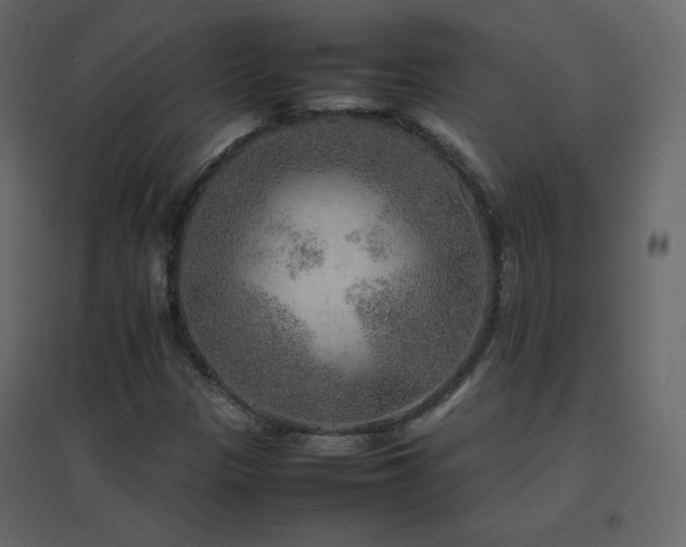X0000096701305200802051401