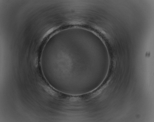 X0000096701306200802051401
