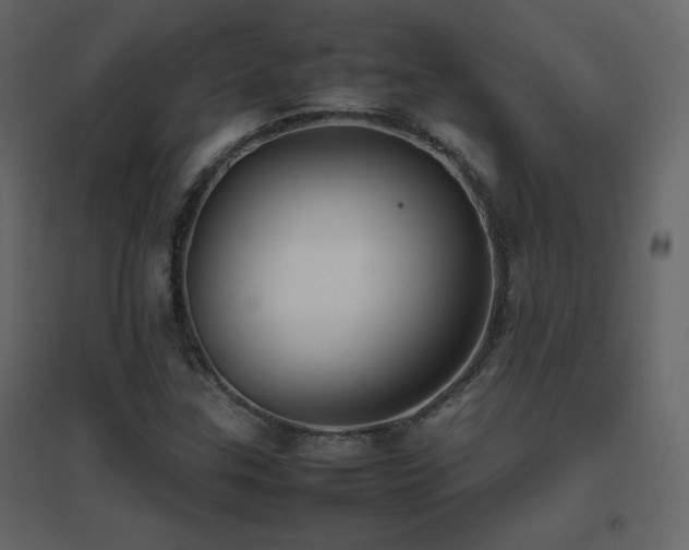 X0000096701307200802051401