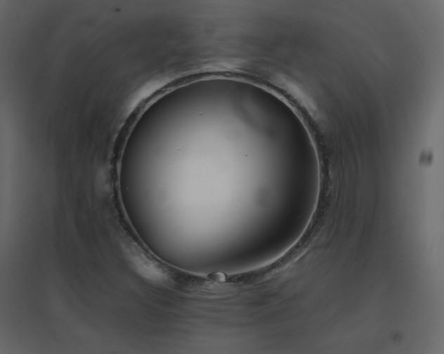 X0000096701308200802051401