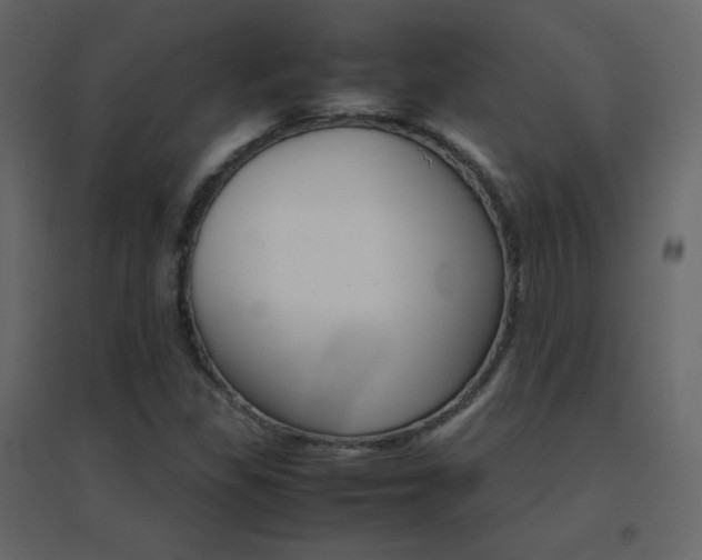 X0000096701309200802051401