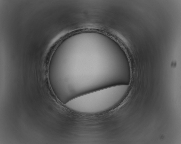 X0000096701310200802051401