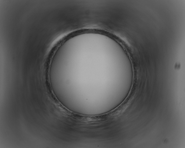 X0000096701311200802051401