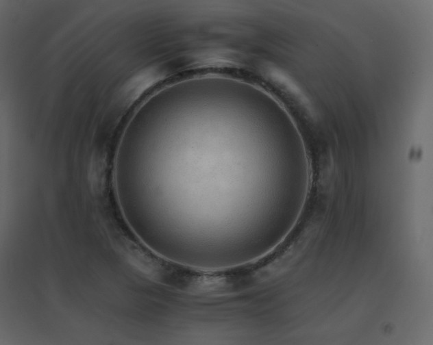 X0000096701313200802051401