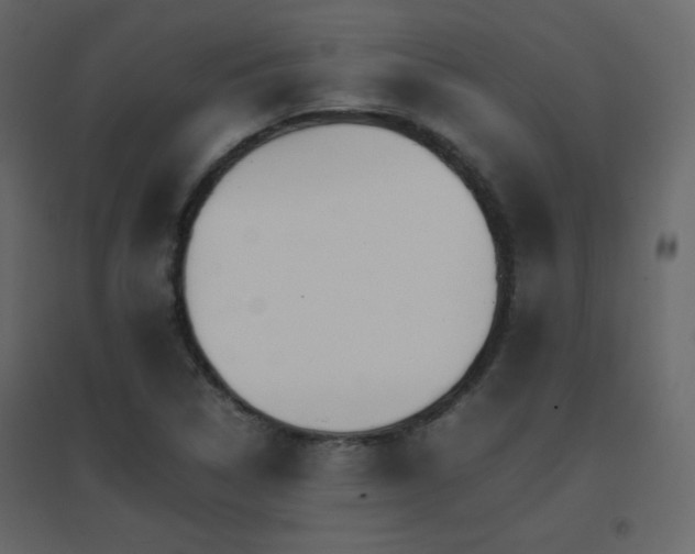 X0000096701314200802051401
