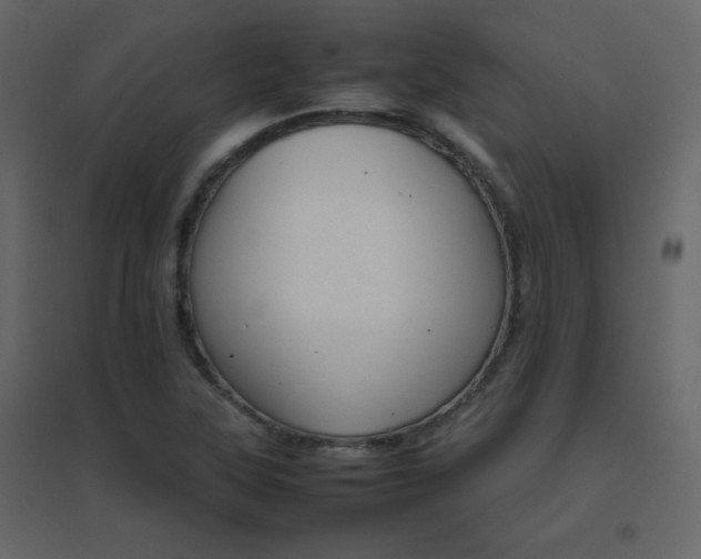 X0000096701315200802051401